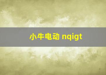 小牛电动 nqigt